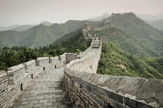 China L Tourism Visa All Fees Are Included